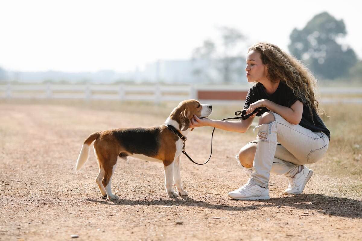 Basic Obedience Program