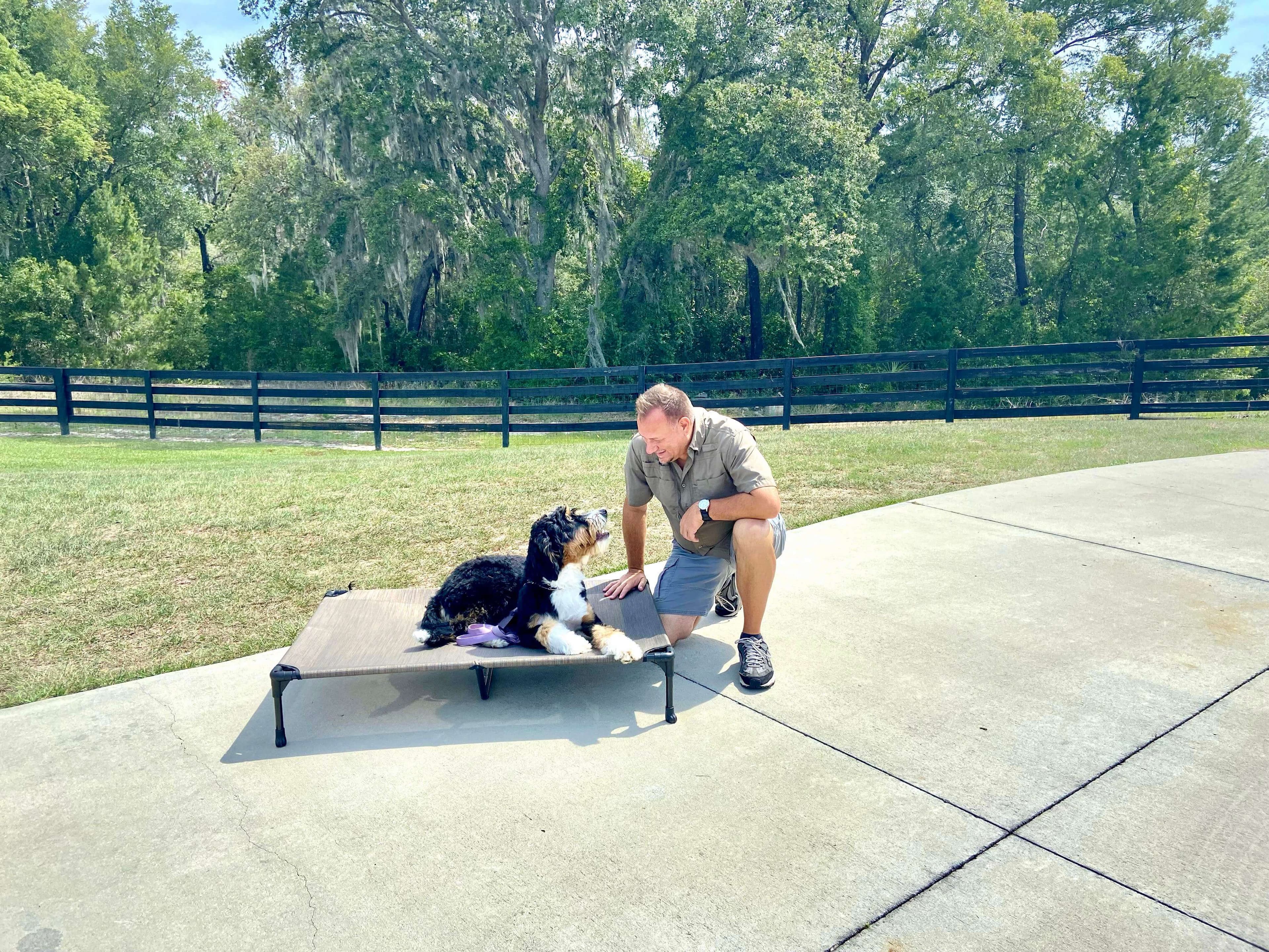 Advanced Off-Leash Training Program